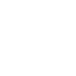 logo ds private